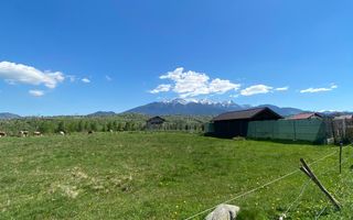 Teren Bran/ Predelut 10.663 mp. - Poză 5