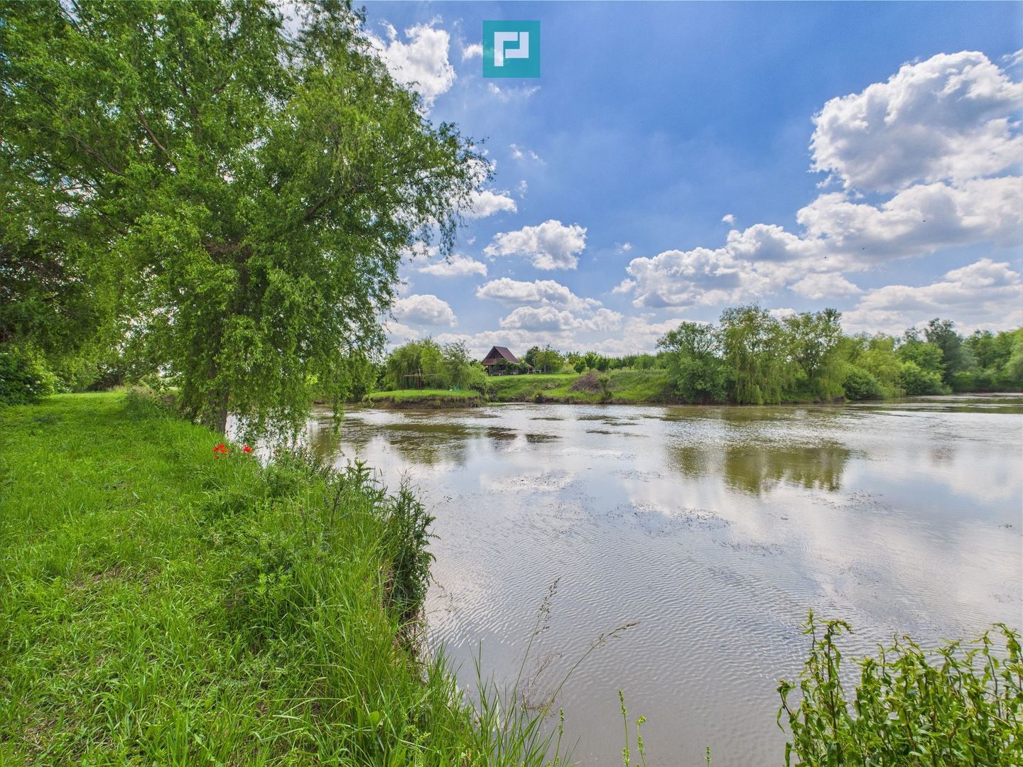 Teren cu baltă- oportunități multiple la Fibiș - Poză 28