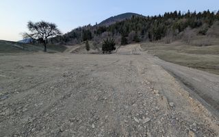 Teren 551mp cu Proiect Resort exclusivist-panorama lac Colibita - Poză 13