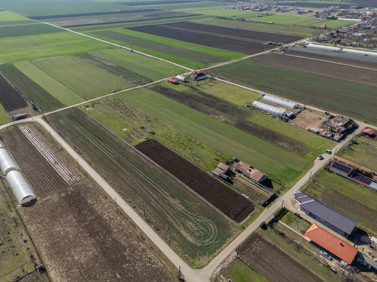 Teren 3.600 mp în Curtici, 2 fronturi stradale – La doar 20 km de Arad - Poză 6