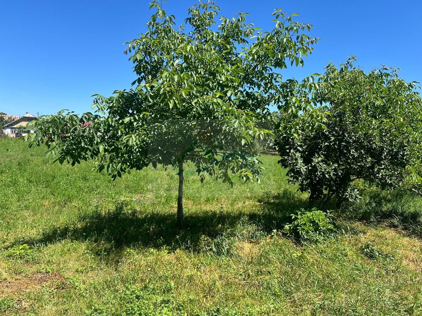 Casă de vânzare Zaharești/Suceava - Poză 12