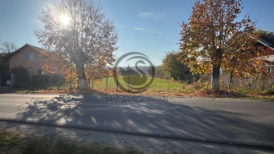 Teren intravilan de vanzare | 12.650 mp | Ghirdoveni | Comision 0% - Poză 3