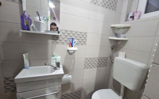 Apartament 1 camera zona Printul Turcesc la curte - Poză 8