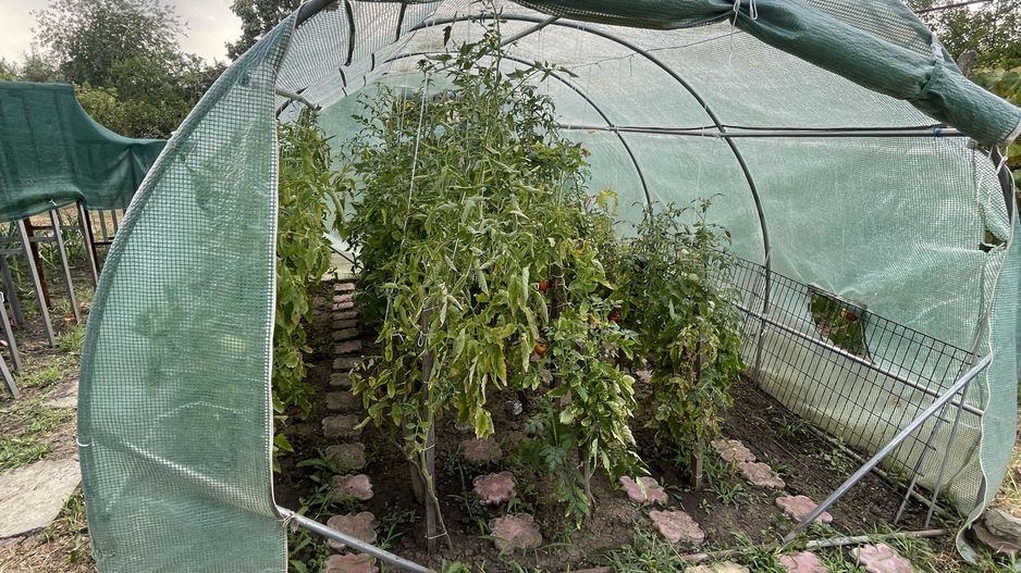 Casa | 9 camere | Garaj | Piscina | Teren 3.000 mp | Comision 0% - Poză 41