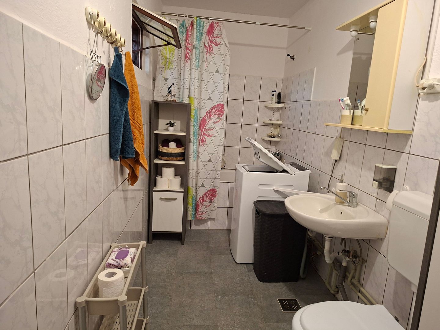 BRASADAS vinde casa individuala 2 cam Viile Satu Mare. - Poză 7
