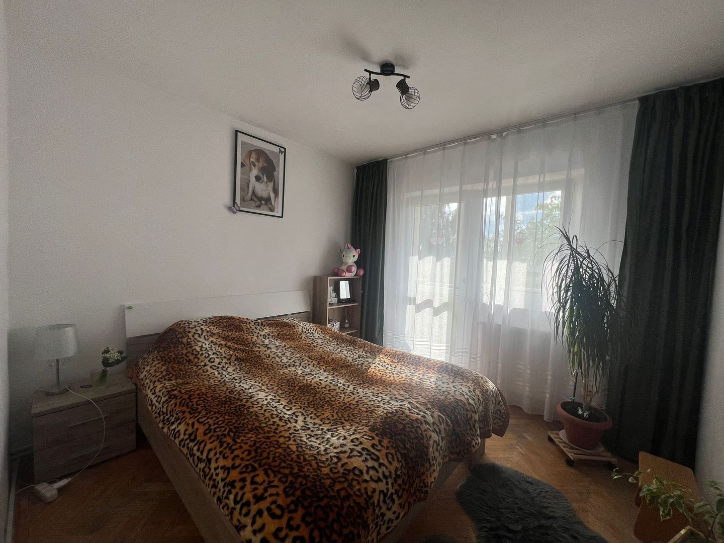 Apartament 3 camere, decomandat - Poză 5