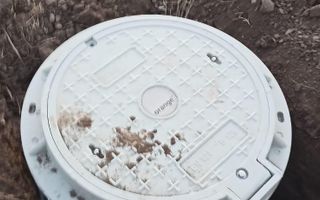 Teren Branesti - Strada Noua - Poză 5