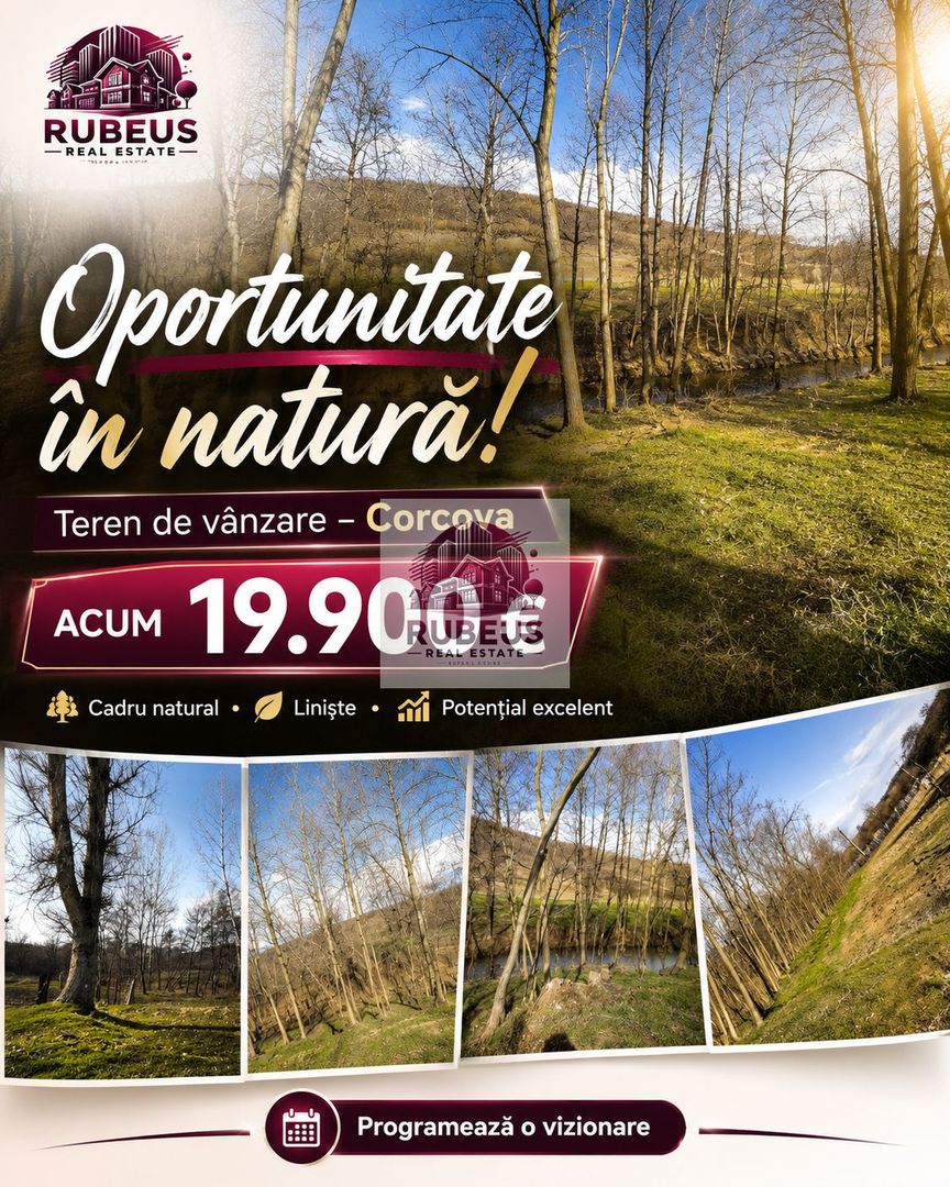 Oportunitate rară! 1 ha pădure Corcova – teren cu potențial real - Poză 1