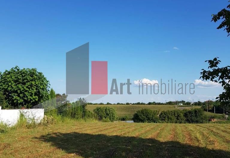 Teren Adunații Copăceni - Poză 7