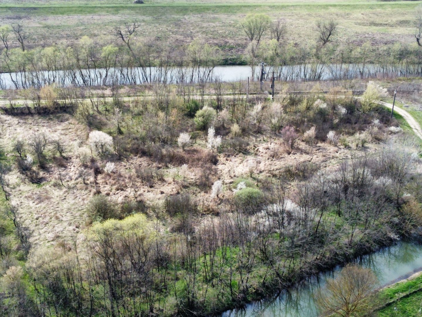 Teren intravilan Balint 22.500 mp - Poză 10