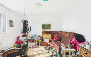 Casă individuală  SanAndrei - Poză 11