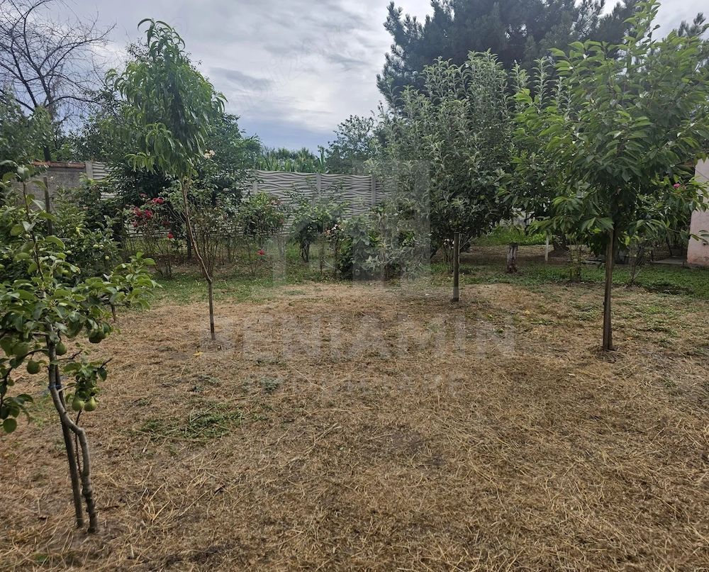 Casa-cu-Teren-Generos-(625 mp)-Panouri-Solare – Bariera-Valcii - Poză 3