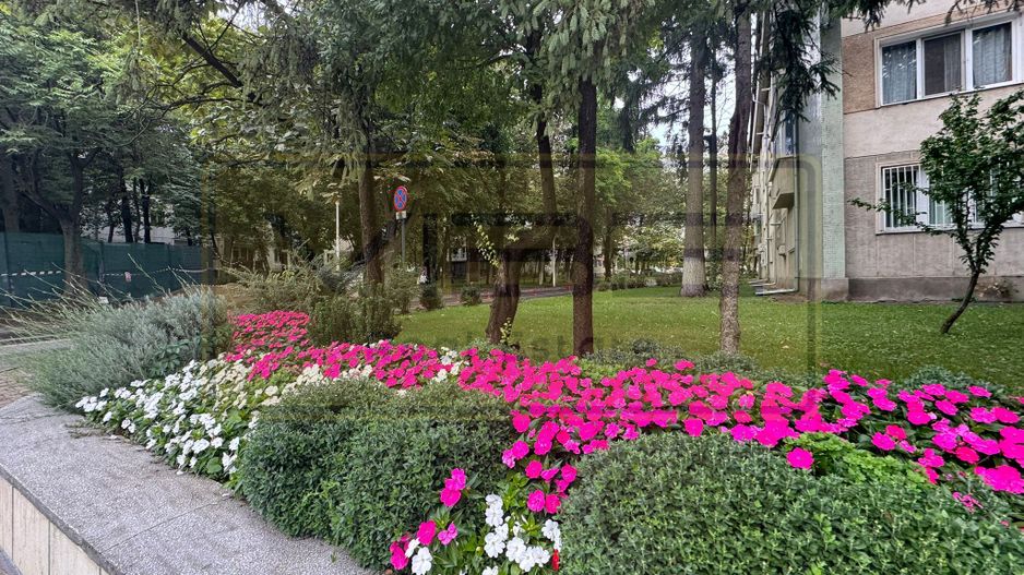 Apartament 2 camere decomandat Copou - 10 min Universitatea Al.I Cuza - Poză 22