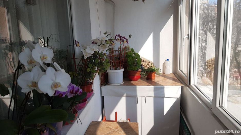 Apartament  Parc IOR Camil Ressu Bloc Reabilitat - Poză 2
