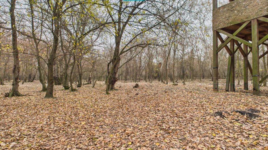 Teren pe malul Muresului- oportunitati multiple - Poză 16