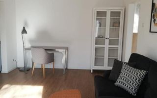 Inchiriere apartament 2 camere Tineretului vedere Parc, Proprietar - Poză 5