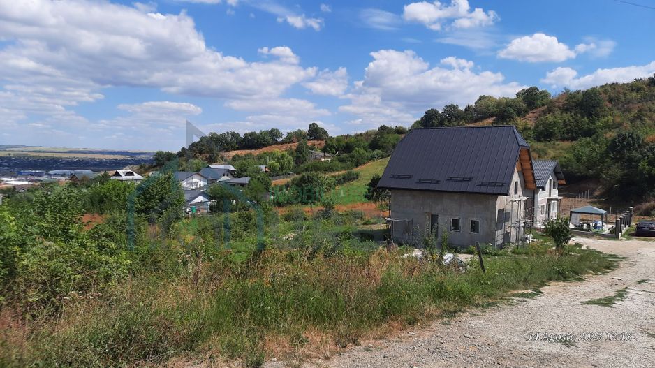 Teren 10.000 mp în Tomesti, zona Vladiceni – oportunitate de investiție - Poză 7