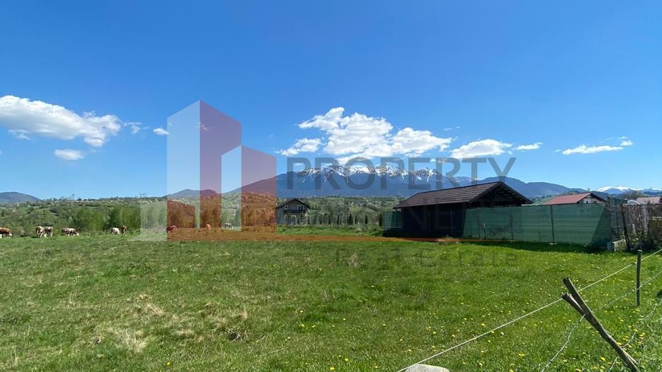 Teren Bran/ Predelut 10.663 mp. - Poză 5