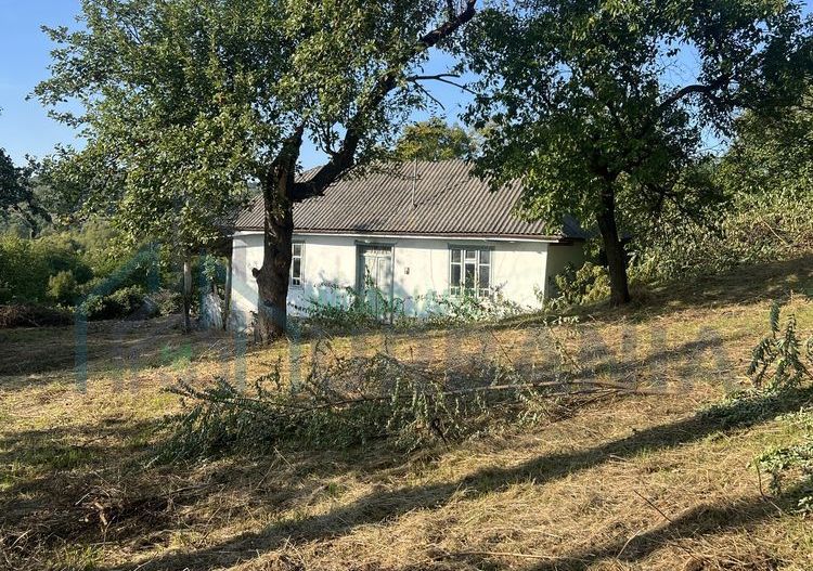 Teren intravilan 3003 mp cu casă bătrânească, fântână și curent electric în Dobrovat, Iași - Poză 3
