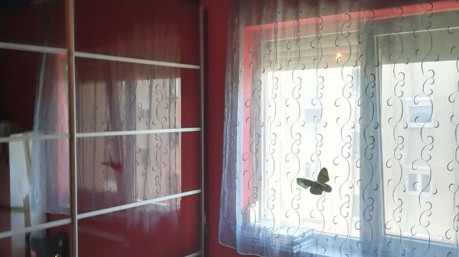 Apratament 3 camere, etajul 3, utilat, Carei, Zaganescu nr 4 - Poză 6