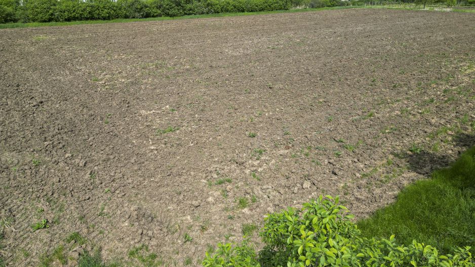 Teren Intravilan de 3,090 mp în Cuvin - Poză 11