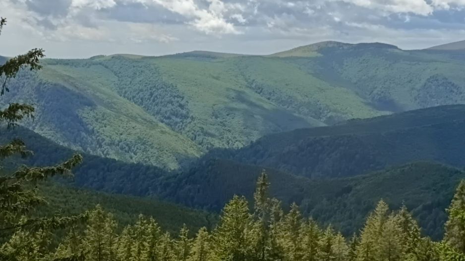 Cabană P+M de vânzare în Rânca - Poză 27