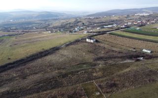 Teren 19.375 mp Dâmbu Rotund. Potențial rezidențial. Extravilan - Poză 7