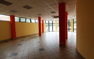 Spațiu comercial de 208mp de închiriat în zona Bogdanestilor - Poză 11