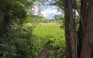 Teren plat-intravilan -3800 mp, cu pădurice și ieșire la râu! - Poză 28