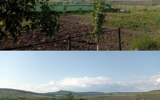 Casa noua - 120 mp- Parter - Teren 800 mp - Zona Teren sport Jelna - Poză 8