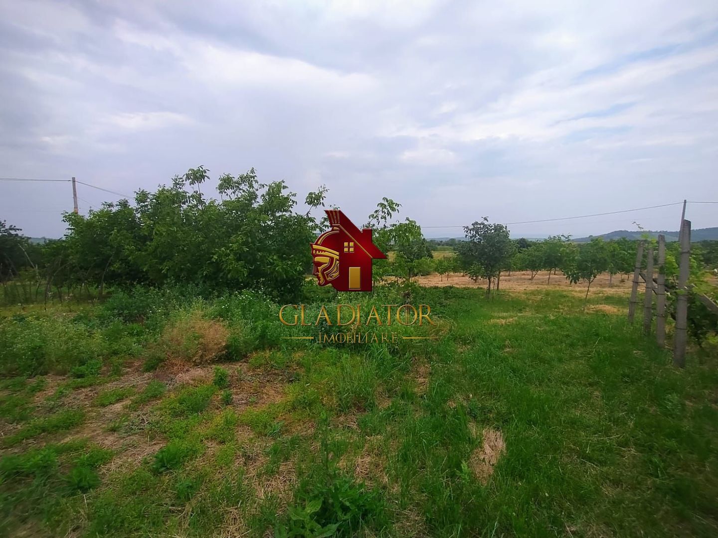 Casa + garaj + 5400 mp teren in Tomesti Goruni, zona de vis, nu rata - Poză 26