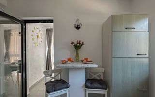 Apartament 2 camere | zona Doamna Stanca - Poză 10