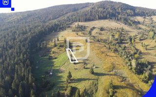 Teren situat in Frasin | BUCOVINA - Poză 7