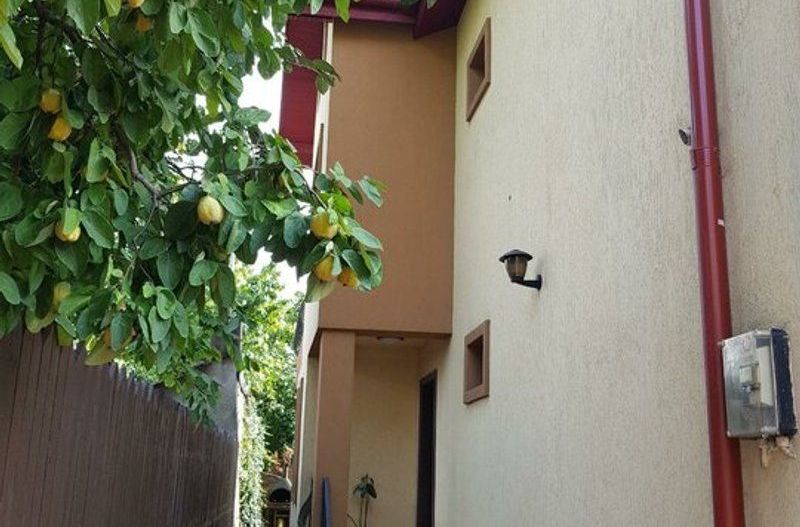 NOU! Vila deosebita, verdeata , intimitate , confort,  Parc Bazilescu - Poză 4