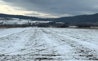 Teren extravilan de vânzare | Bradu | 10.000 mp | intabulat CF - Poză 3