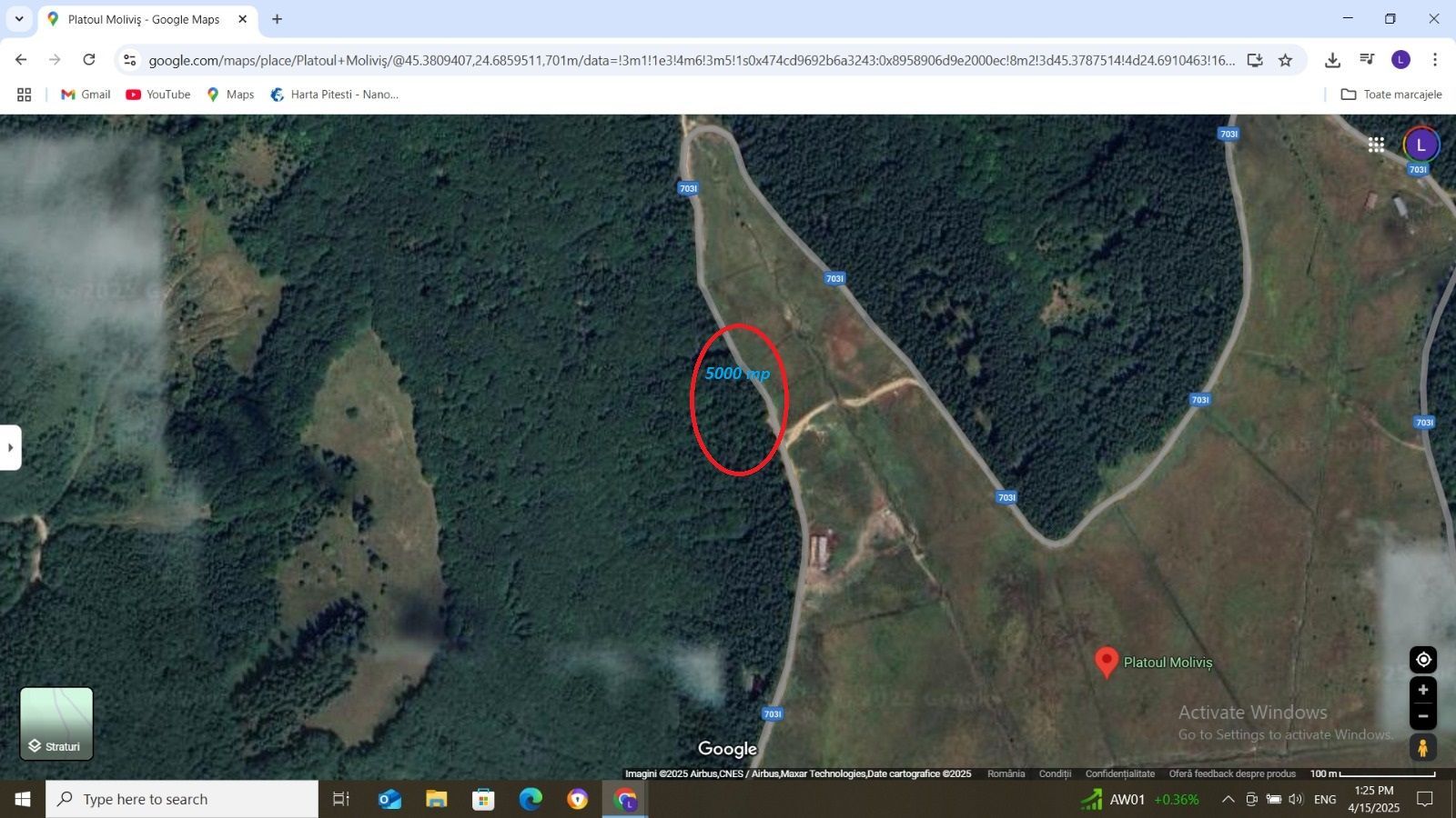 Vanzare teren 5000 mp Transfagarasan - Molivis - Poză 5