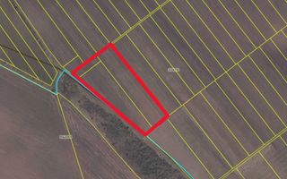 Vânzare, teren agricol, 161 ari, satul Dolinnoe, Criuleni - Poză 2