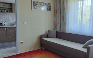 Apartament 2 camere, zona Someșeni, parter înalt - Poză 2