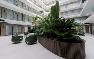 Chirie, oficiu, 990 mp, bulevardul Ștefan cel Mare și Sfânt, Centru - Poză 42