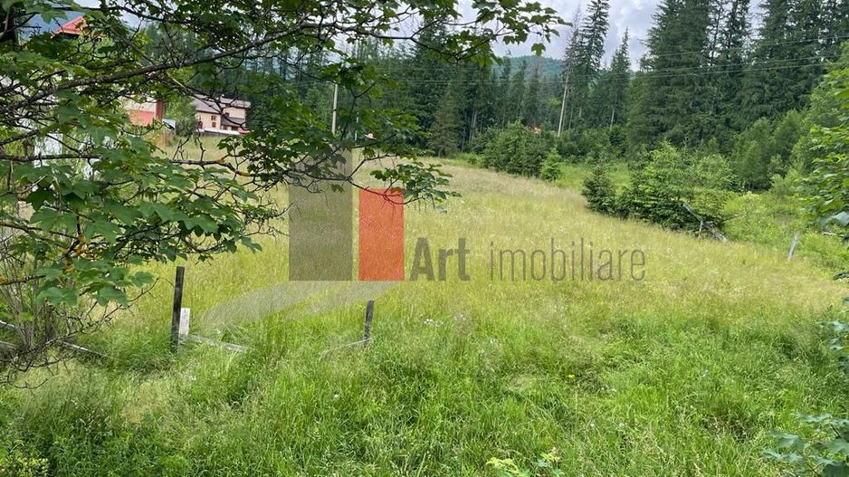 Teren statiunea Cheia, zona centrala - Poză 1