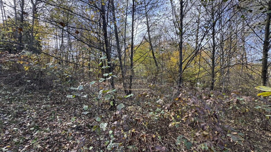 TEREN INTRAVILAN 13167 MP BUGHEA DE SUS ARGES - Poză 31