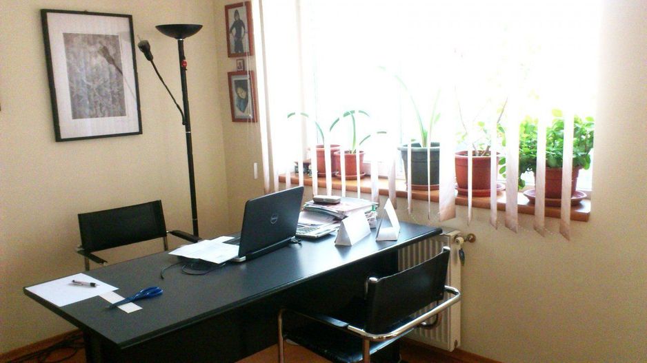 Casa/Vila/Spatiu comercial  Rahova-Sos.Salaj - Poză 12