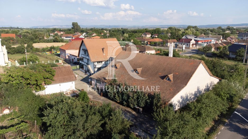 Casă cu Hală Industrială | Teren 3.200 mp | Ineu | Bihor - Poză 4