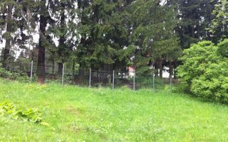 Teren intravilan Cotul Donului,pretabil Hotel/pensiune. - Poză 11