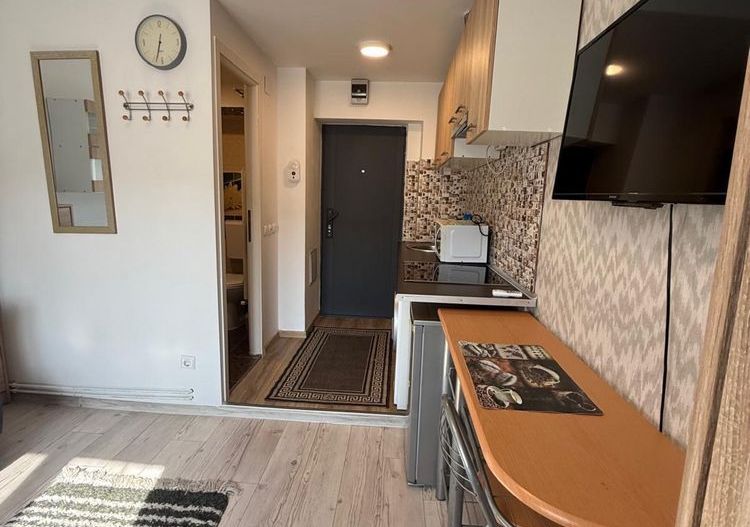 Grasoniera-zona Buziasului | Mobilata si Utilata | Renovata - Poză 6