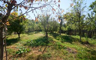 Proprietate deosebita cu doua case si teren generos – Cosesti, Arges - Poză 8