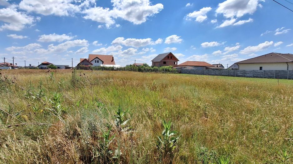 Teren in Sacalaz, locuinta individuala/duplex - Poză 1