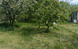 Casă de vânzare cu spațiu comercial în Apahida - Poză 8