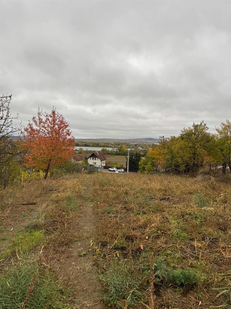 Teren de vanzare Podgoria - Poză 2