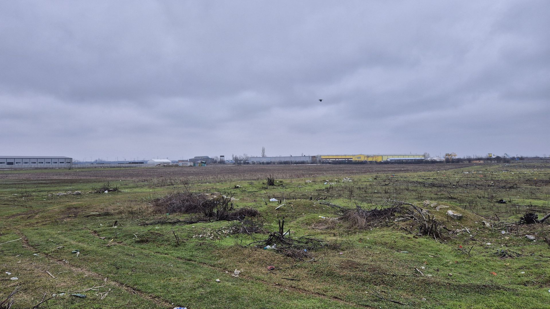 Teren intravilan 31497 mp - Chitila zona industriala de hale - Poză 4